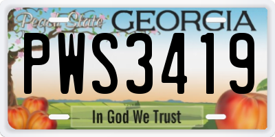GA license plate PWS3419