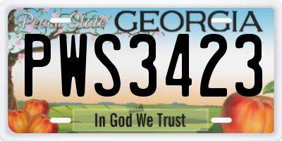 GA license plate PWS3423