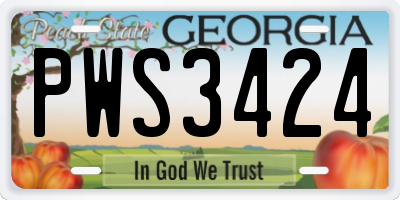 GA license plate PWS3424