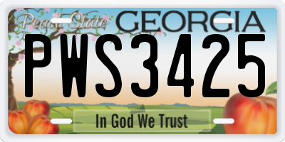 GA license plate PWS3425