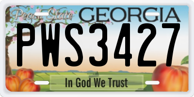 GA license plate PWS3427