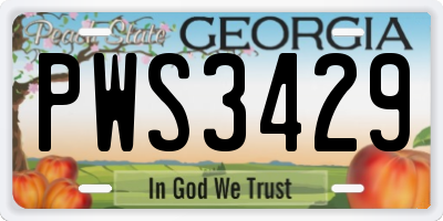 GA license plate PWS3429