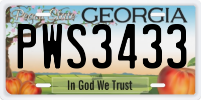 GA license plate PWS3433