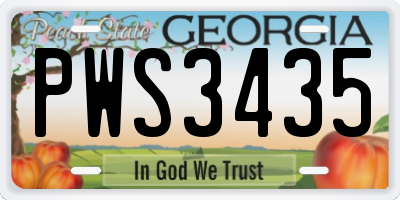 GA license plate PWS3435
