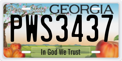 GA license plate PWS3437