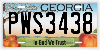 GA license plate PWS3438