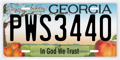 GA license plate PWS3440