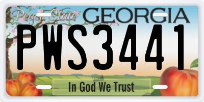 GA license plate PWS3441