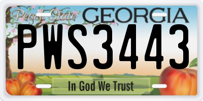 GA license plate PWS3443