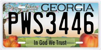 GA license plate PWS3446