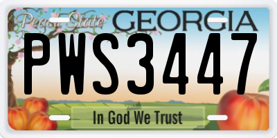 GA license plate PWS3447