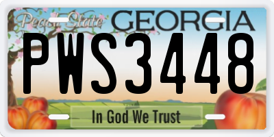 GA license plate PWS3448
