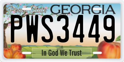 GA license plate PWS3449