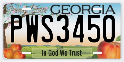 GA license plate PWS3450