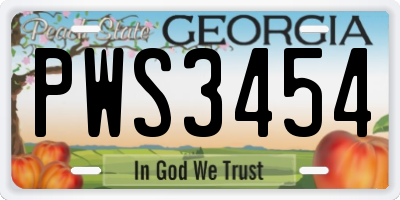 GA license plate PWS3454
