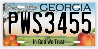 GA license plate PWS3455