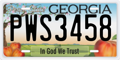 GA license plate PWS3458