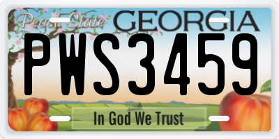 GA license plate PWS3459