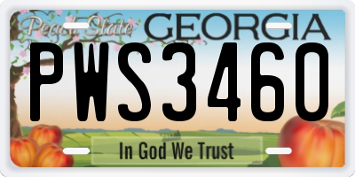 GA license plate PWS3460