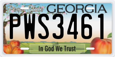 GA license plate PWS3461