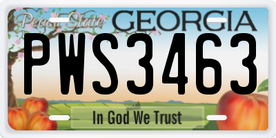 GA license plate PWS3463