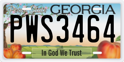 GA license plate PWS3464