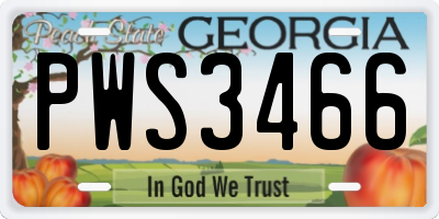 GA license plate PWS3466
