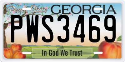 GA license plate PWS3469