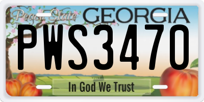 GA license plate PWS3470