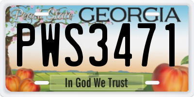 GA license plate PWS3471