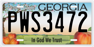 GA license plate PWS3472
