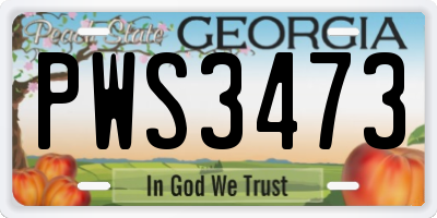 GA license plate PWS3473
