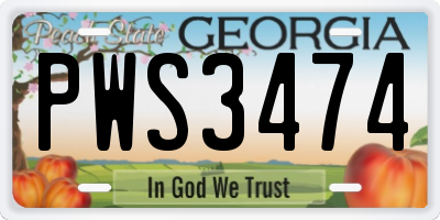 GA license plate PWS3474