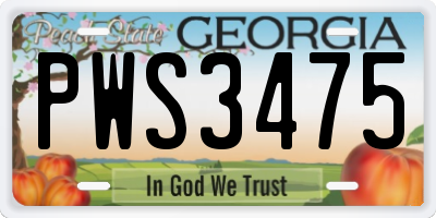 GA license plate PWS3475