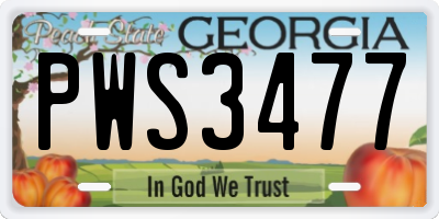 GA license plate PWS3477