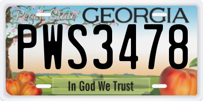 GA license plate PWS3478