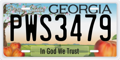 GA license plate PWS3479