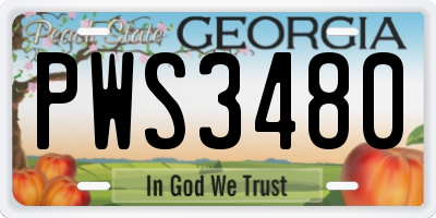 GA license plate PWS3480
