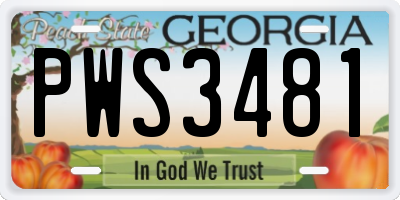GA license plate PWS3481