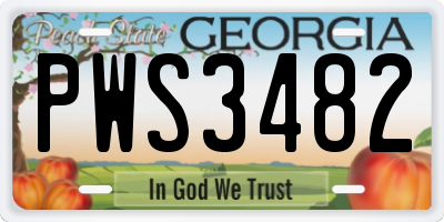 GA license plate PWS3482