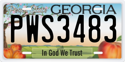 GA license plate PWS3483