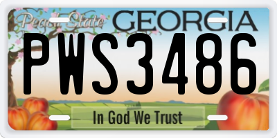 GA license plate PWS3486