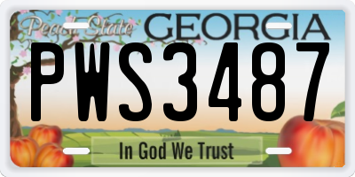 GA license plate PWS3487