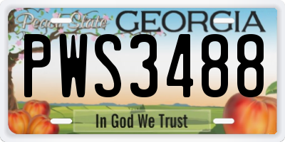 GA license plate PWS3488