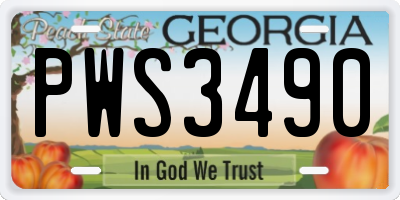 GA license plate PWS3490