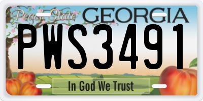 GA license plate PWS3491