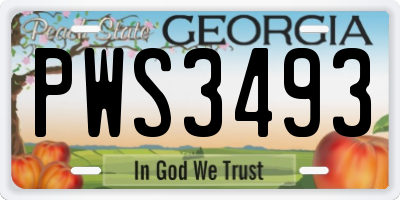 GA license plate PWS3493