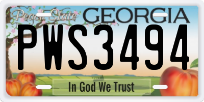 GA license plate PWS3494