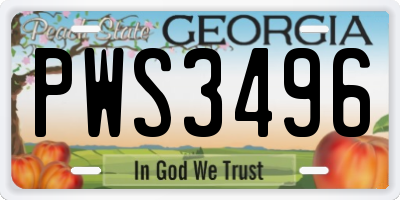 GA license plate PWS3496