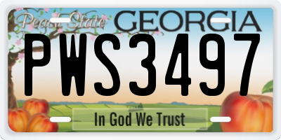 GA license plate PWS3497